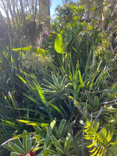 IMG_8813.jpeg IMG_8813.jpeg