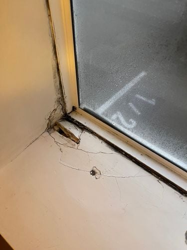 IMG_7019.jpeg IMG_7019.jpeg