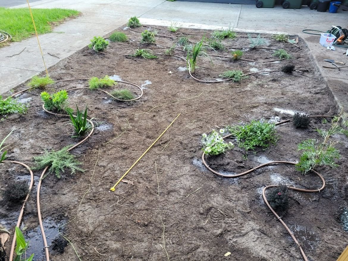 20220410_145118.jpg 20220410_145118.jpg