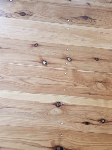 1000017285.jpg 1000017285.jpg