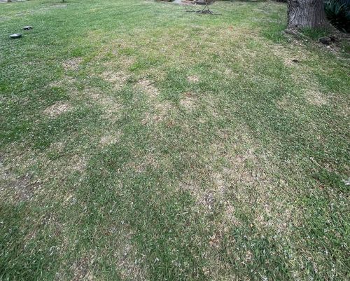 IMG_0914.jpeg IMG_0914.jpeg