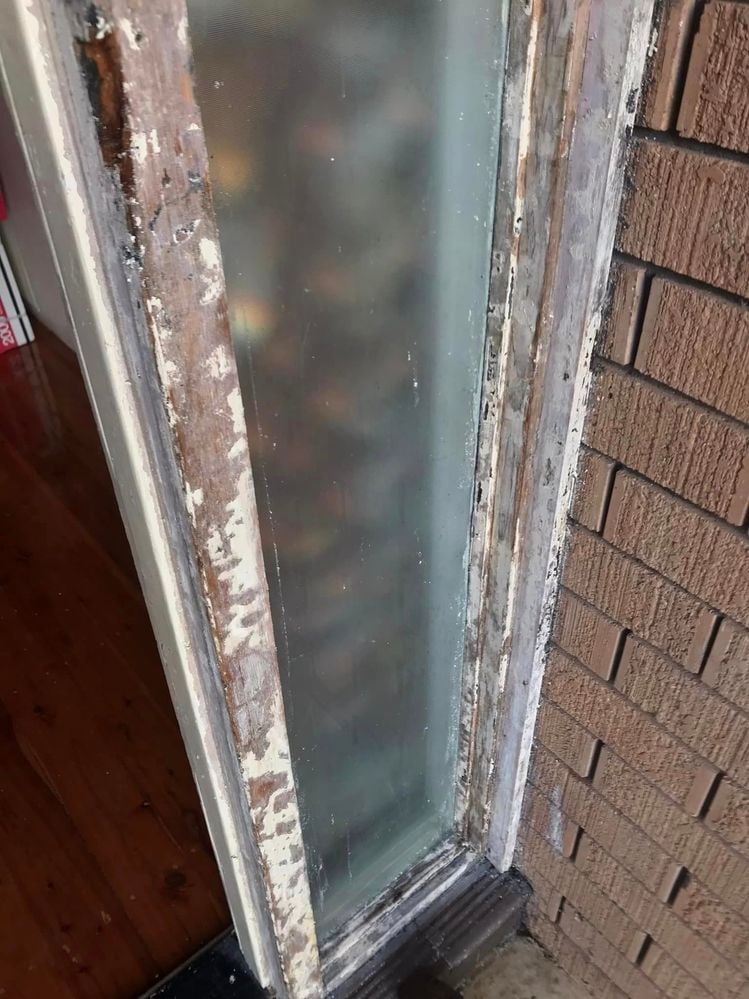 13 19-06-2023.jpg 13 19-06-2023.jpg