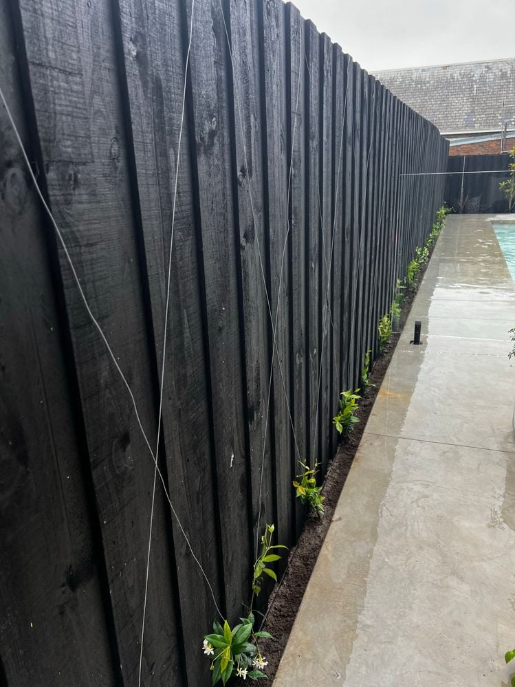 Image (6).jpg Image (6).jpg