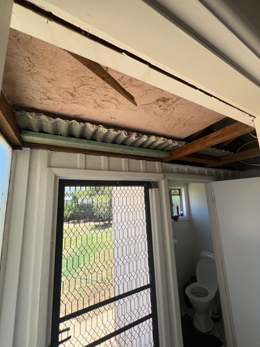 IMG_8670.jpeg IMG_8670.jpeg