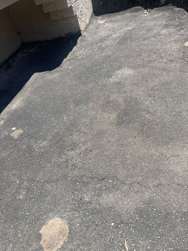 IMG_6706.jpeg IMG_6706.jpeg