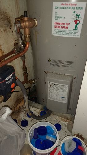 20220725_185920.jpg 20220725_185920.jpg