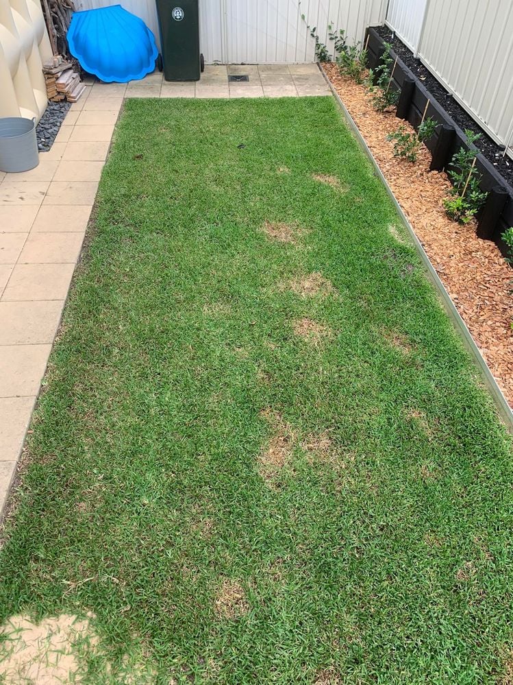 8th Jan 2024.jpg 8th Jan 2024.jpg