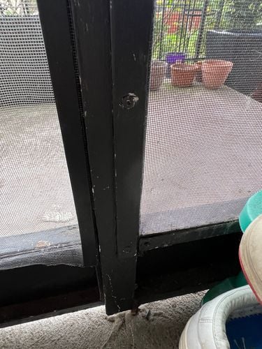 IMG_4859.jpeg IMG_4859.jpeg