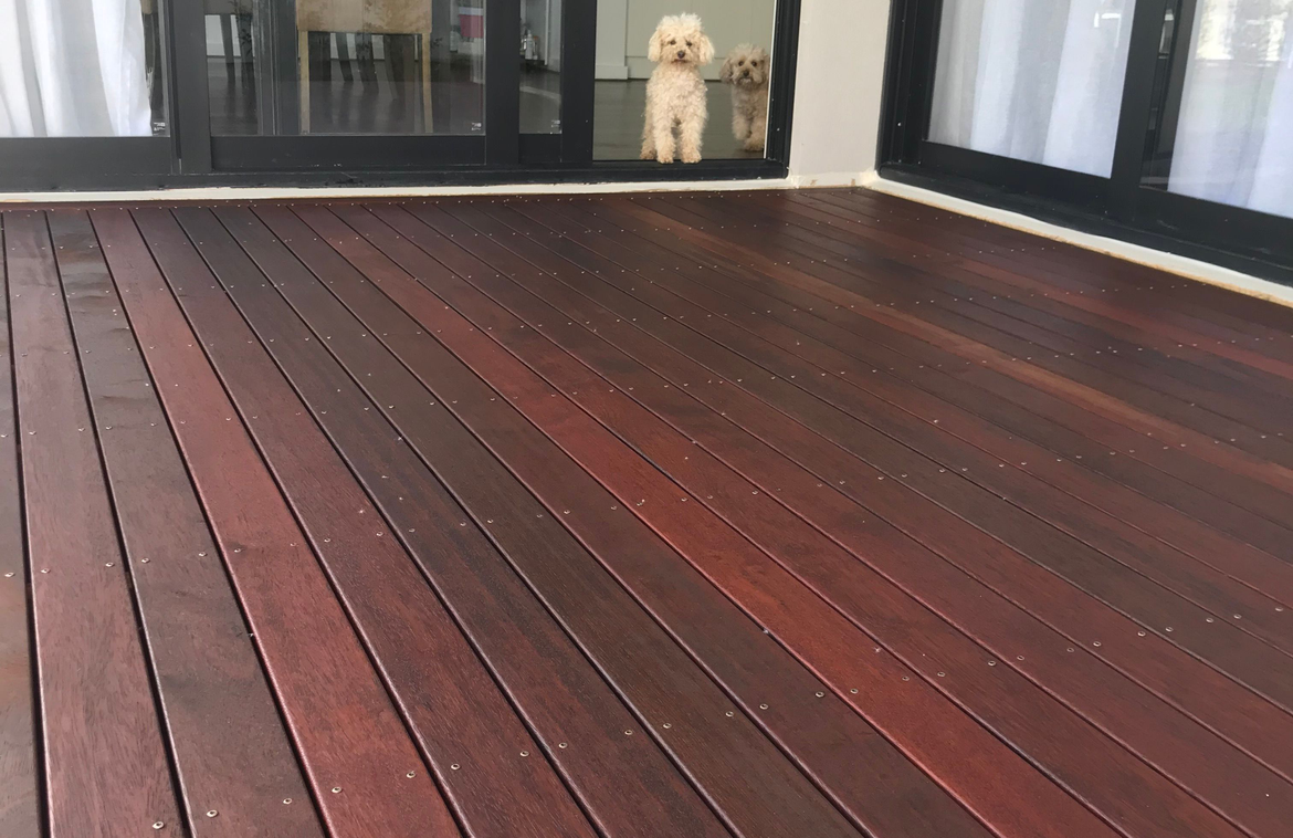 deck 2.png deck 2.png