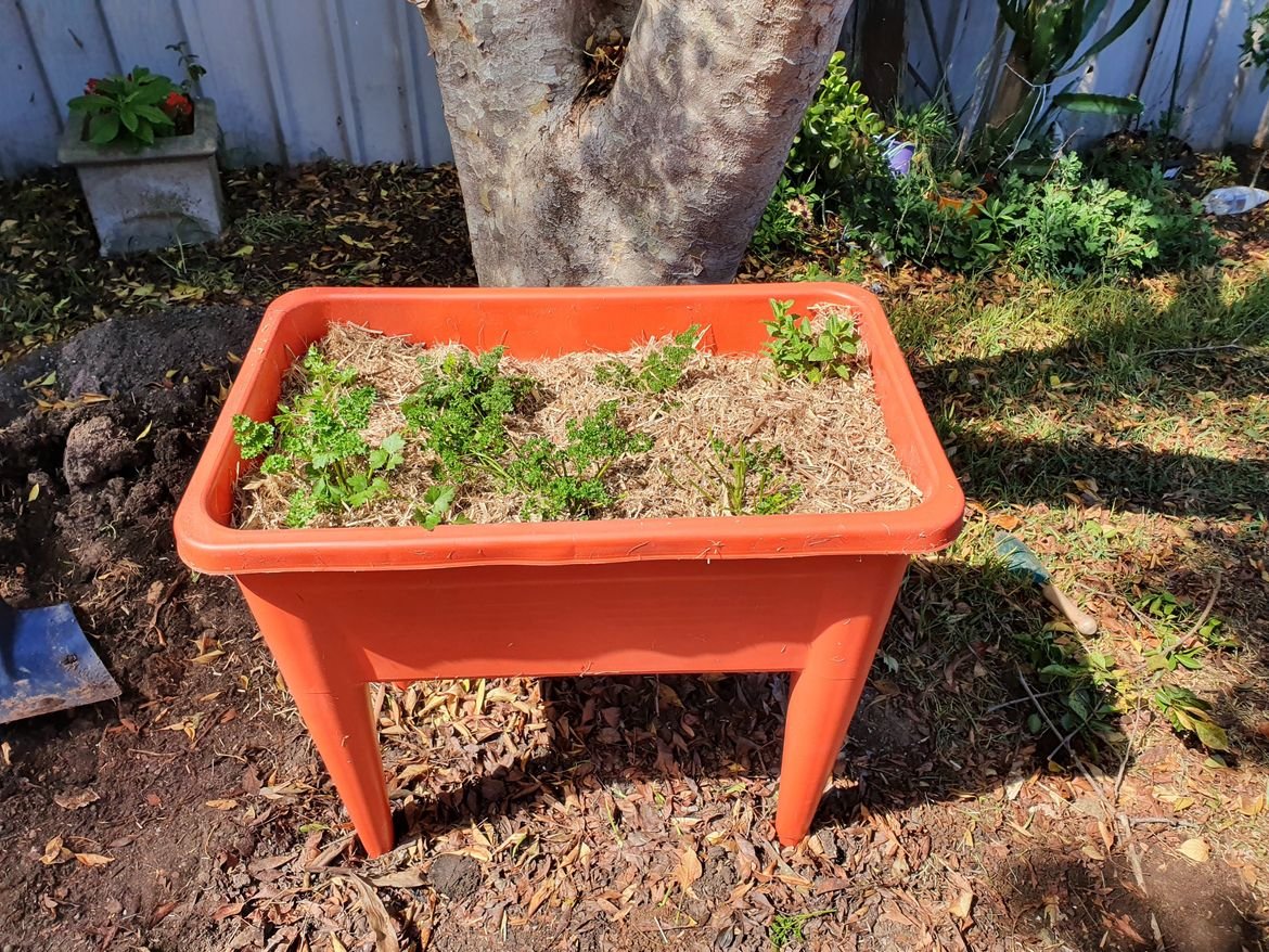 20211017_104207.jpeg 20211017_104207.jpeg