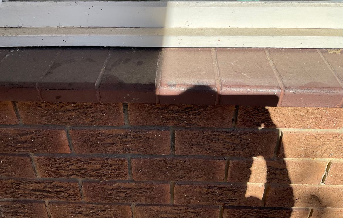 IMG_0348.jpeg IMG_0348.jpeg