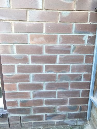 IMG20200612144614.jpg IMG20200612144614.jpg