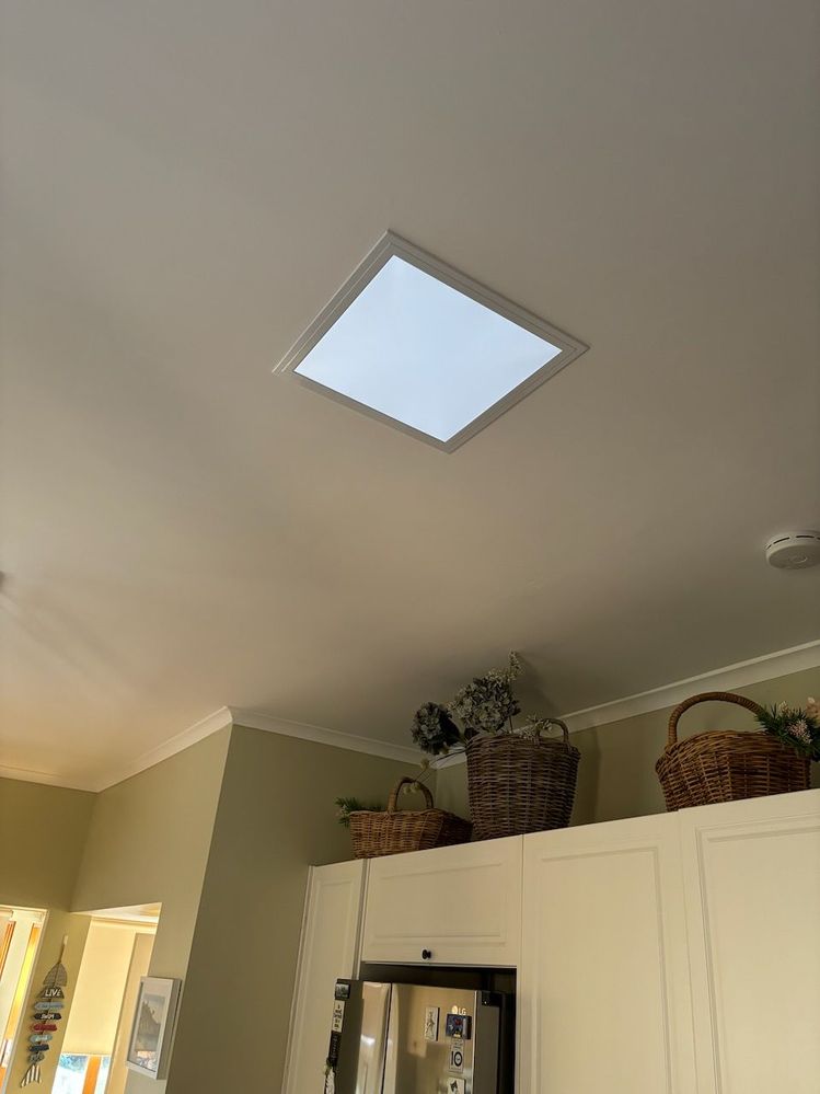 IMG_8237.jpeg IMG_8237.jpeg