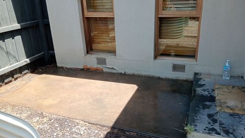 1000011027.jpg 1000011027.jpg