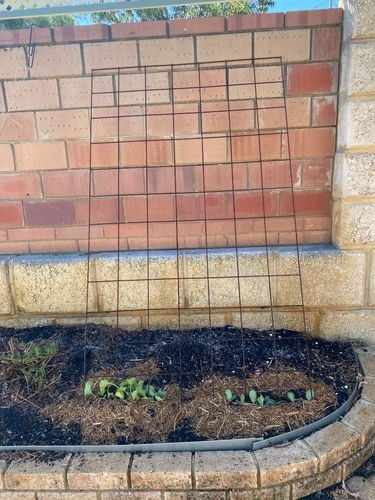 IMG_9468.jpeg IMG_9468.jpeg