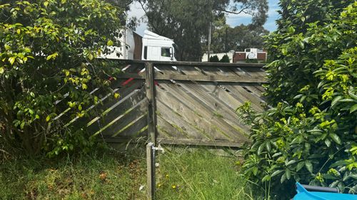 IMG_9845.jpeg IMG_9845.jpeg