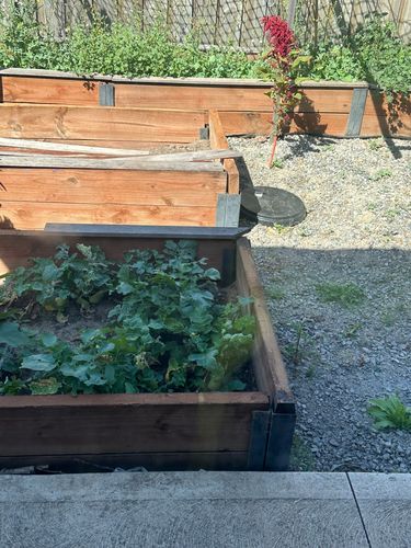 IMG_4945.jpg IMG_4945.jpg