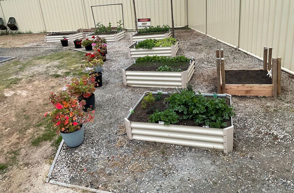 VEG_IES.jpeg VEG_IES.jpeg