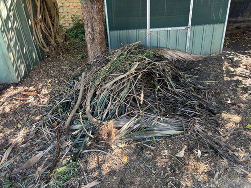 IMG_1956.jpeg IMG_1956.jpeg