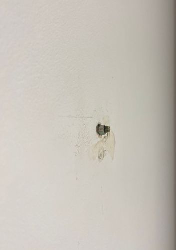 IMG_4665.jpeg IMG_4665.jpeg