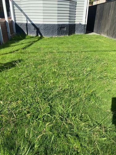 2716DF7E-59FA-4678-A338-11FC6BB6A722.jpeg 2716DF7E-59FA-4678-A338-11FC6BB6A722.jpeg