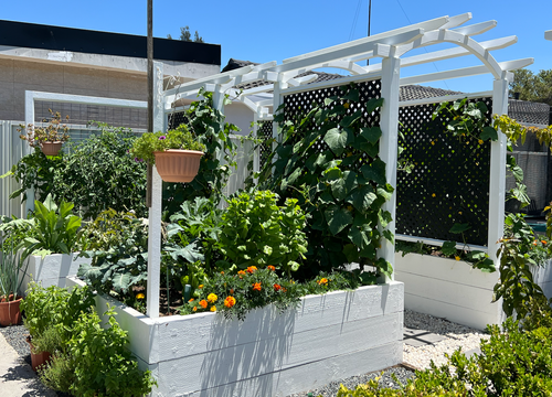 Screenshot 2024-12-18 at 4.28.46 PM.png Screenshot 2024-12-18 at 4.28.46 PM.png