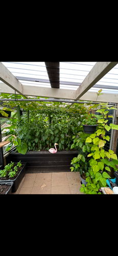 IMG_4192 (1).PNG IMG_4192 (1).PNG