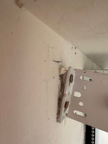 IMG_3254.jpeg IMG_3254.jpeg