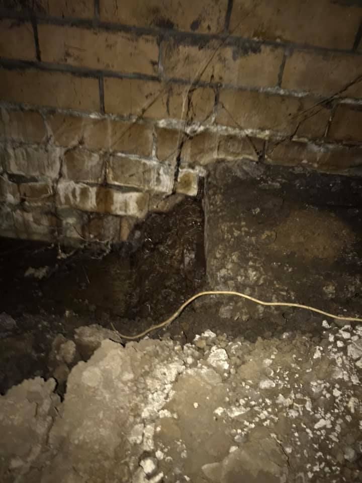 04 04-11-2020.jpg 04 04-11-2020.jpg