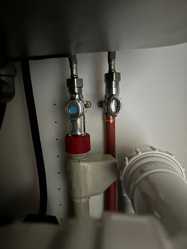 IMG_6358.jpeg IMG_6358.jpeg