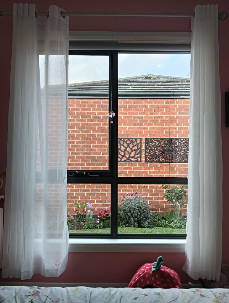 The view.jpg The view.jpg