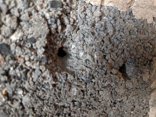 IMG_20190923_145117-01.jpeg IMG_20190923_145117-01.jpeg