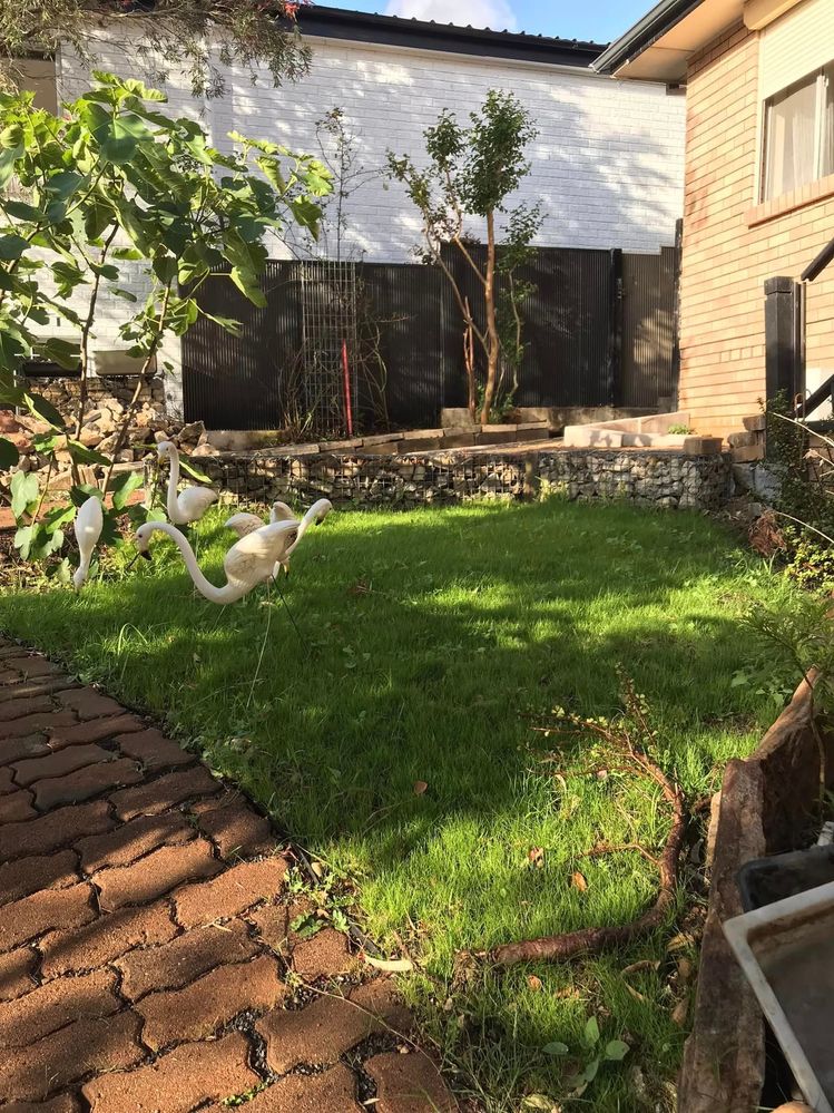 65 05-11-2022.jpg 65 05-11-2022.jpg