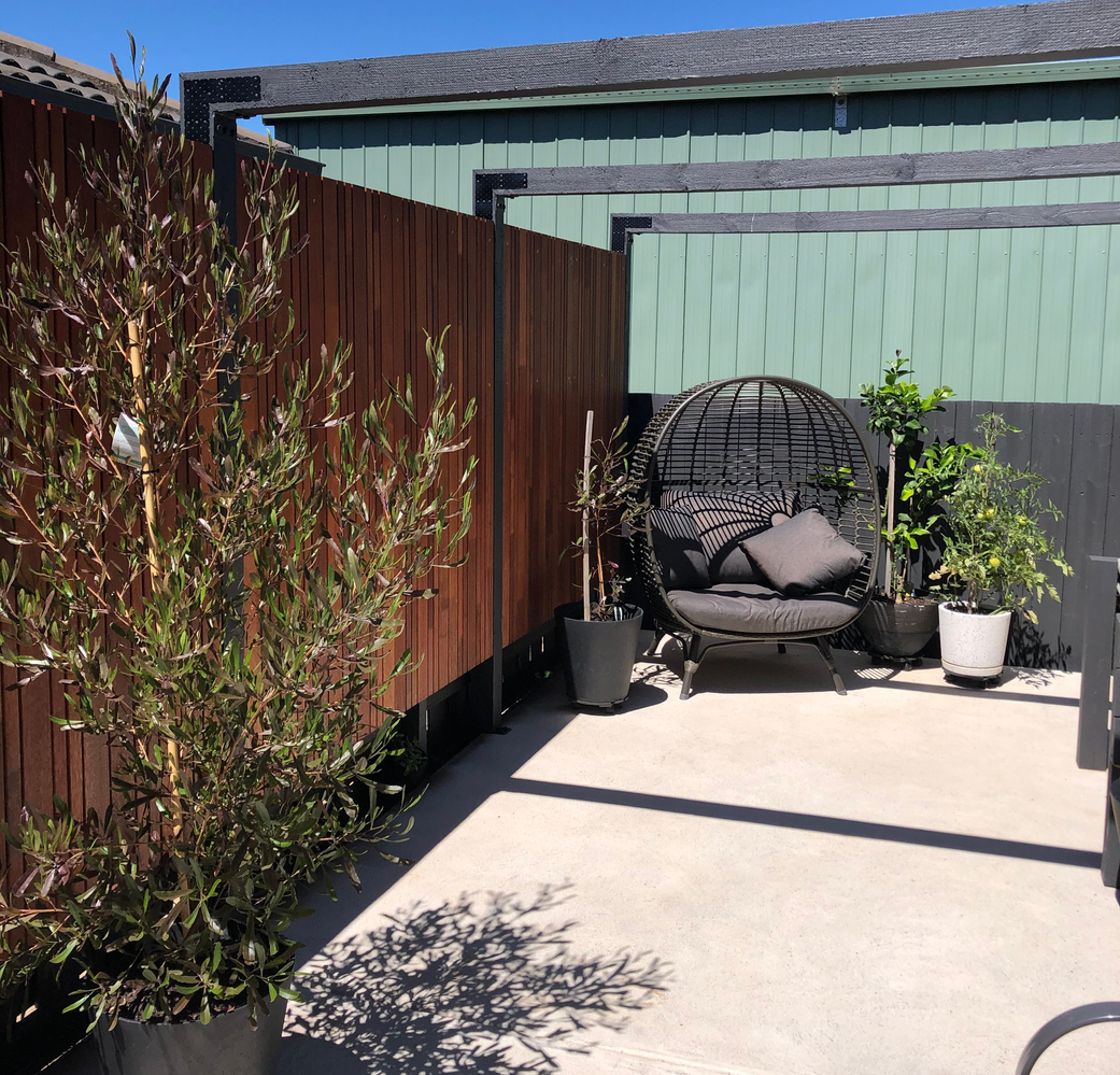 fence after.png fence after.png