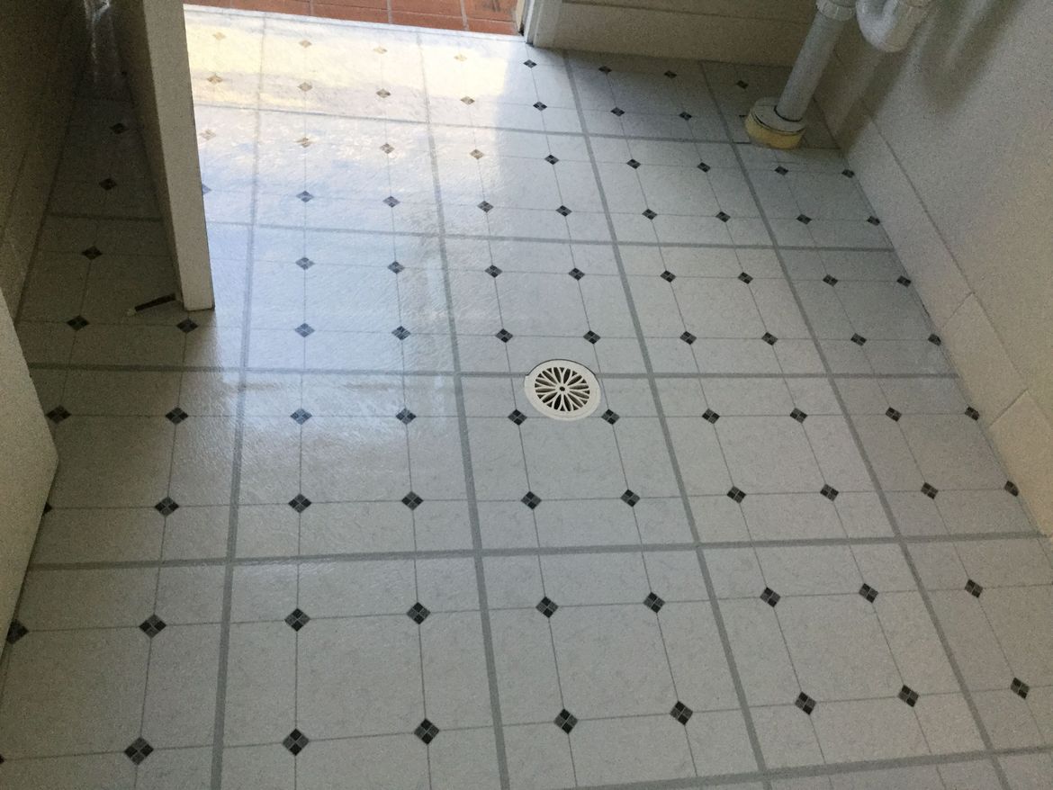 A745CBC6-F48D-4C4F-B114-D56BF533EB59.jpeg A745CBC6-F48D-4C4F-B114-D56BF533EB59.jpeg