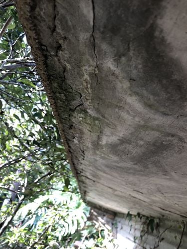 IMG_9297.jpg IMG_9297.jpg