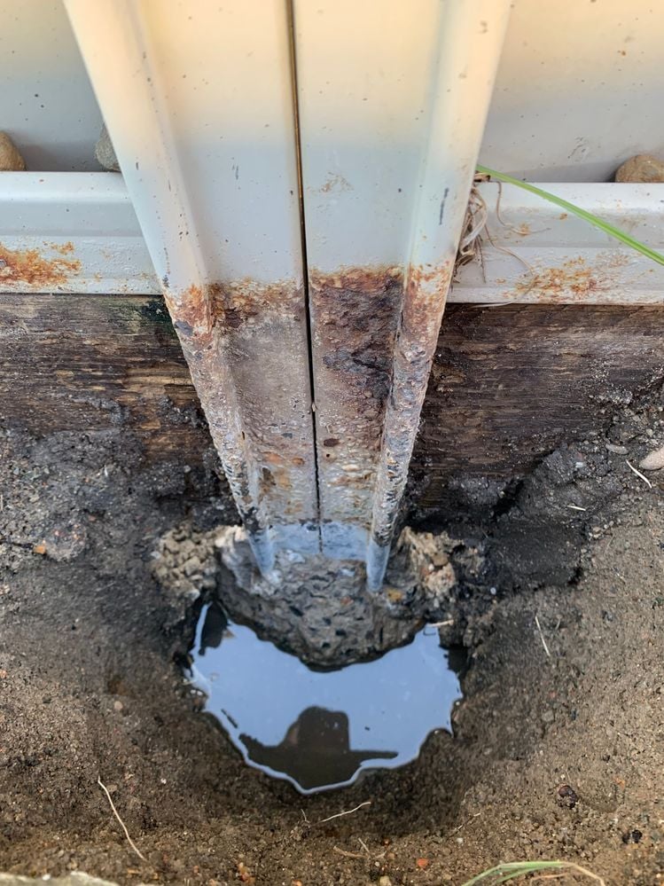 IMG_1469.jpg IMG_1469.jpg