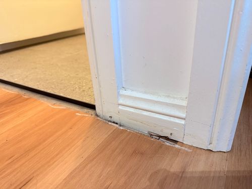 IMG_2314.jpeg IMG_2314.jpeg