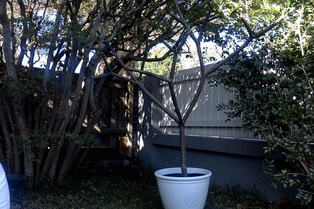 Photo on 3-7-20 at 12.11 pm #3.jpg Photo on 3-7-20 at 12.11 pm #3.jpg