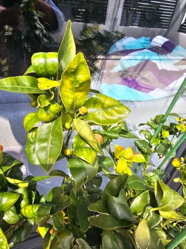 1000096215.jpg 1000096215.jpg