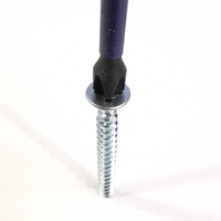 1.4 Bit positioned in screw head.png 1.4 Bit positioned in screw head.png