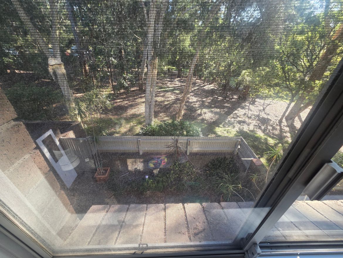 20260107_181750.jpg 20260107_181750.jpg