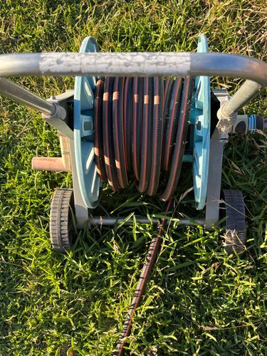 IMG_4355.jpeg IMG_4355.jpeg