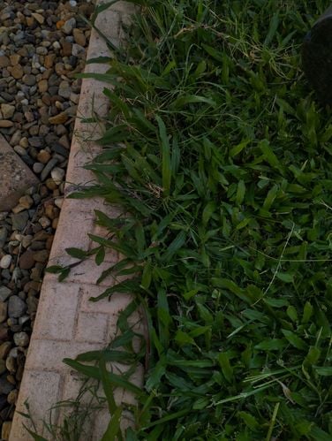 IMG20240106080847.jpg IMG20240106080847.jpg