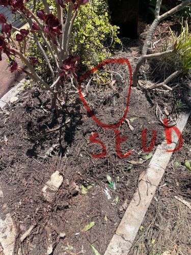 IMG_3326.jpeg IMG_3326.jpeg