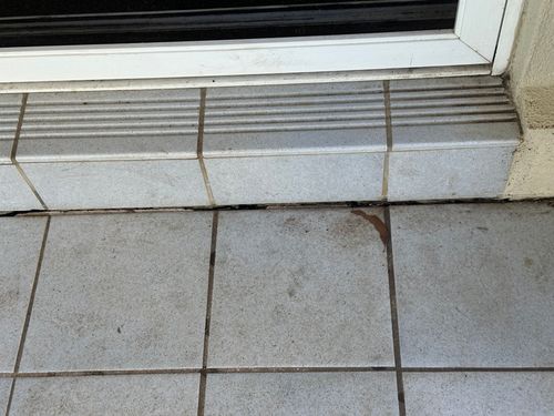 IMG_7293.jpeg IMG_7293.jpeg