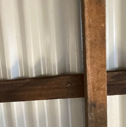 IMG_5276.jpeg IMG_5276.jpeg