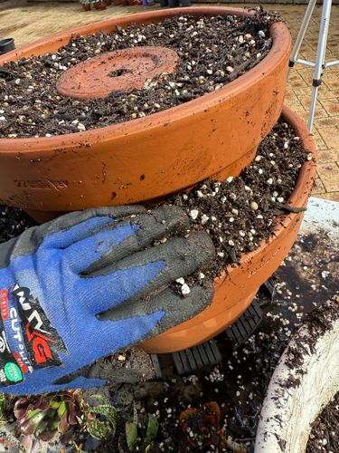 IMG_1239.jpeg IMG_1239.jpeg