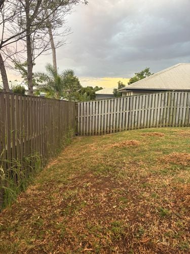 IMG_5505.jpeg IMG_5505.jpeg