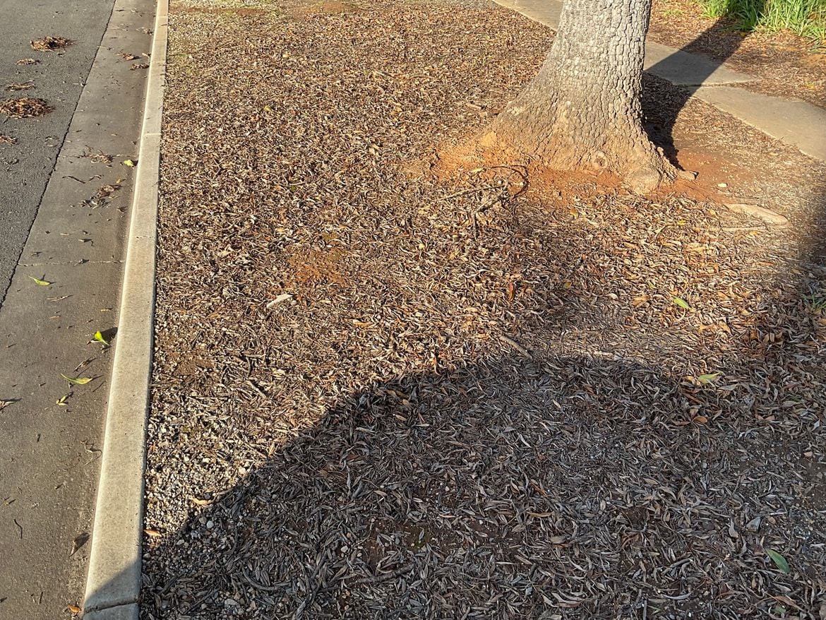 IMG_0613.jpeg IMG_0613.jpeg